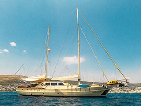 Aegean Schatz جولية