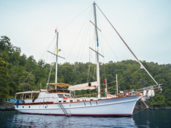 Afilli جولية