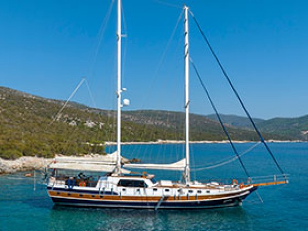 Artemis جولية