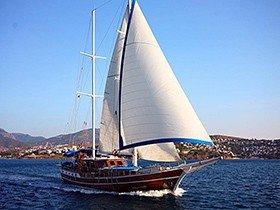 Blue Cruise جولية