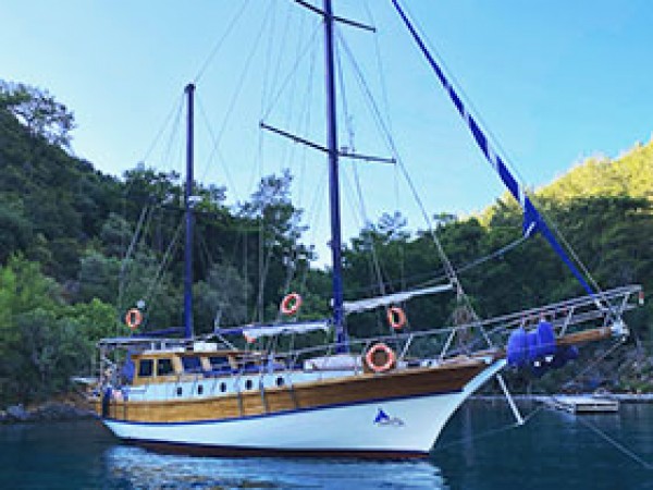 Cekin جولية