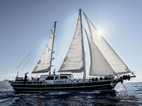 Dea Del Mare جولية