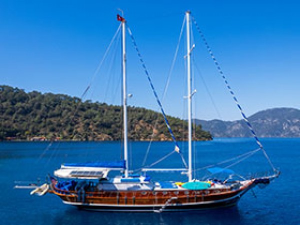 Elena (Turkey) جولية