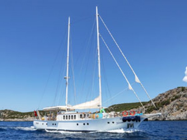 Gazella جولية