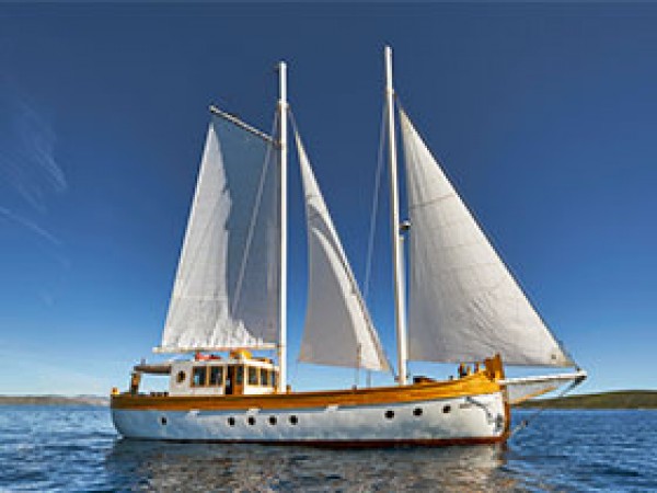 Green Ray جولية