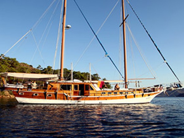 Hakki Dogan جولية