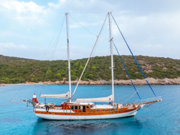 Jasmin 1 جولية