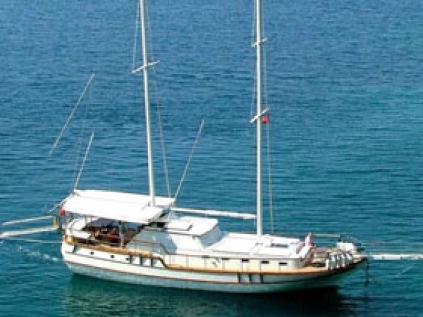 Junior Tarkan جولية