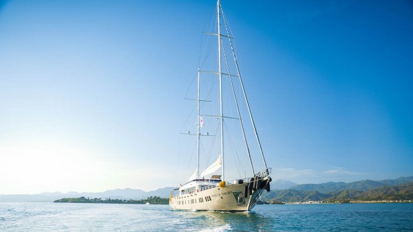 يخت الإبحار King of the Sea