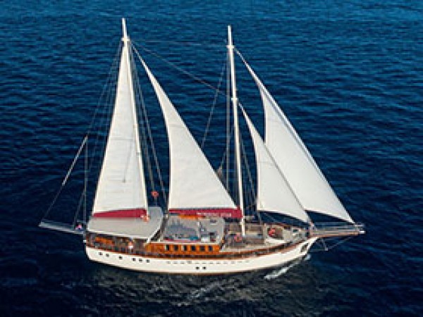 Morning Star جولية