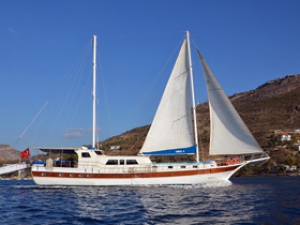 Oguz 5 جولية