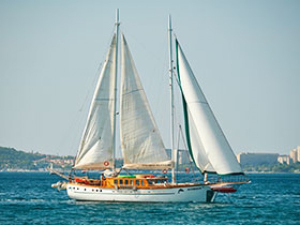 Queen of Adriatic جولية