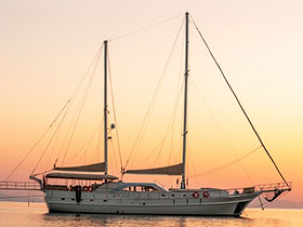 Queen of Sea جولية