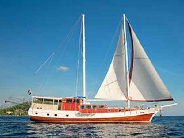 Sole جولية