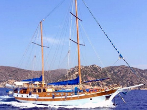 Syrolana جولية