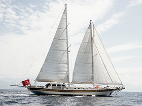 Torini جولية