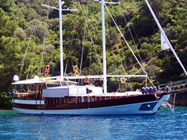 Yuksel Deniz جولية